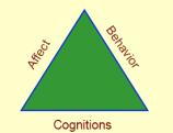 Consumer Belief and Attitude Consumer Beliefs About Product Attributes Beliefs result from cognitive learning.