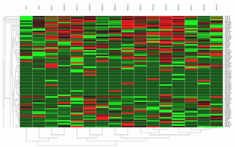 The methods discussed in this document enable detection of both mirnas and mrnas on the same TaqMan Array Card.