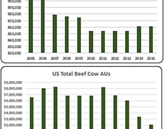 The average dairy cow AUs for the 2005 to 2015 decade was 871,691. From 2005 to 2015 beef cow AUs averaged 56.3 million.