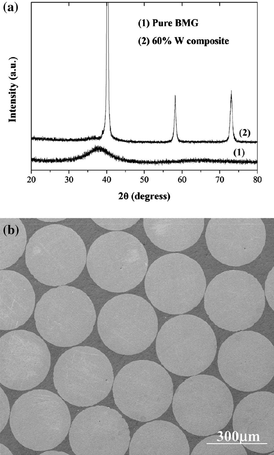 increases. Qiu et al. [32] conducted compressive experiments on the tungsten fiber reinforced ZrAlNiCuSi BMG matrix composite. Their results are consistent with the observations of Conner et al.