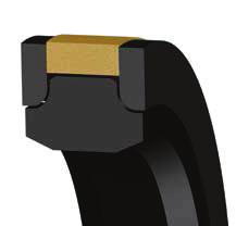 HEAVY-DUTY CAPPED SEAL Featuring special anti-extrusion technology TECHNICAL DETAILS The Hallite Capped T seal is a compact, double-acting, high-performance piston seal design capable of handling the