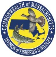 CONSERVING THE BIODIVERSITY OF MASSACHUSETTS IN A