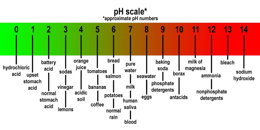 ph is a logarithmic scale, meaning each number is 10x greater/less than the next.