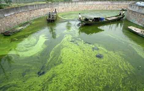 Eutrophication that is a natural part of aquatic succession