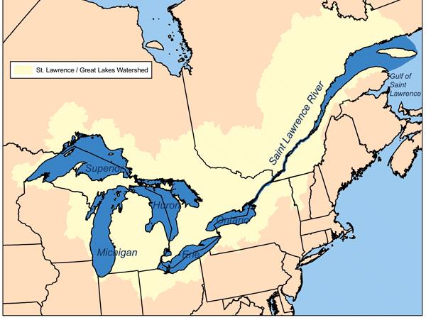 The St. Lawrence River is the world s largest estuary.