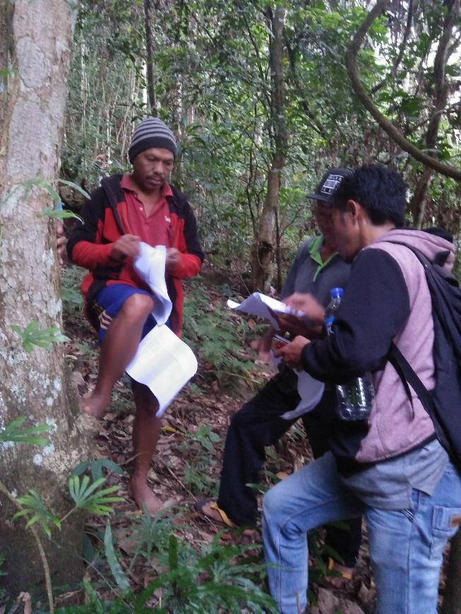 Field surveys to monitor biodiversity and environmental services Forest condition monitored using specially designed survey forms.