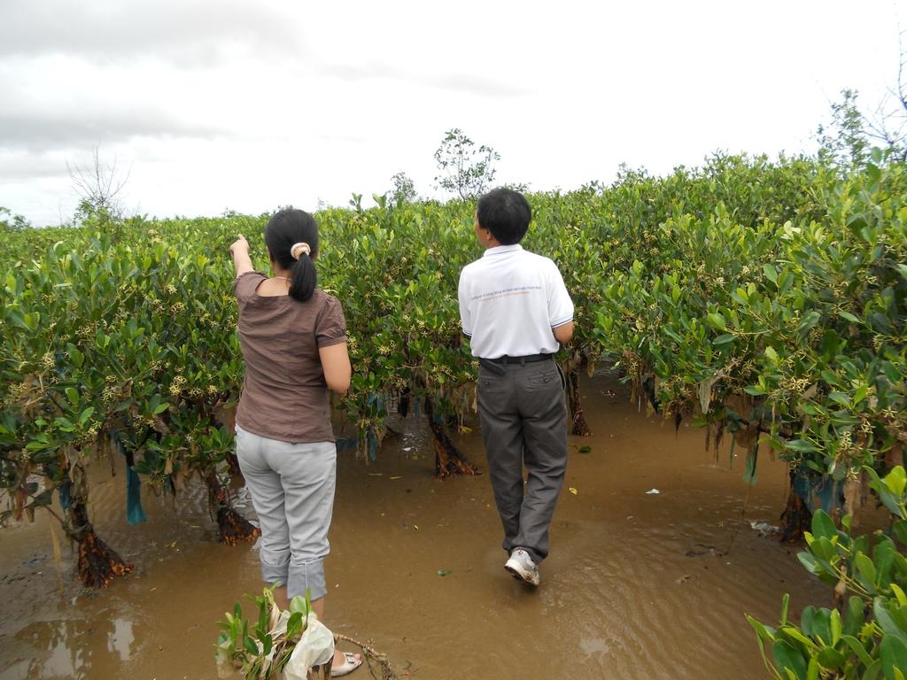CARE established CF mangrove project (2007) involving community in management and benefit
