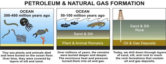 Forming fossil Fuels All fossil fuels begin as organic matter trapped in sedimentary rock.