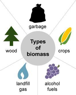 Biomass Biomass is organic material that comes from plants and animals, and is a renewable source. Burning is only one way to release the energy in biomass.