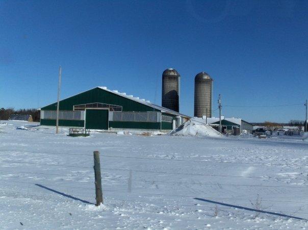 The History of Terwidlen Farms Harvey Barrie (Grandfather) rented in 1917 and