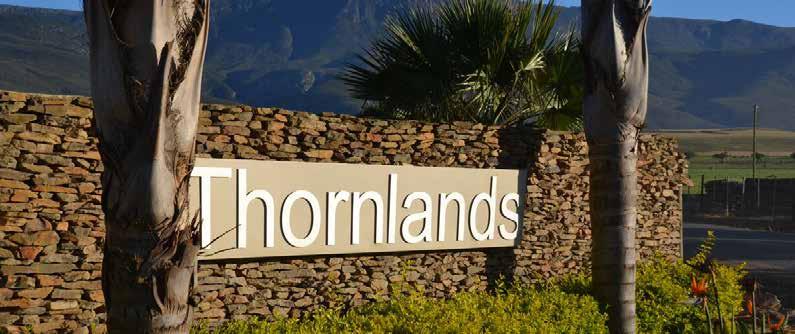 - Our Corporate Governance - Thornlands remains committed
