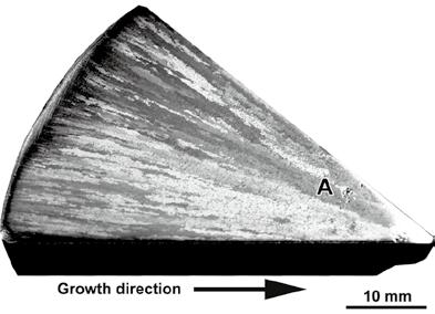 May 2012 cast into a cylindrical ingot with a diameter of 112 mm and a height of 220 mm.