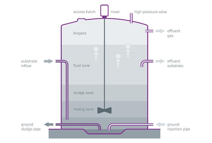 Anaerobic Digestion The breakdown of organic material using bacteria Animal waste,