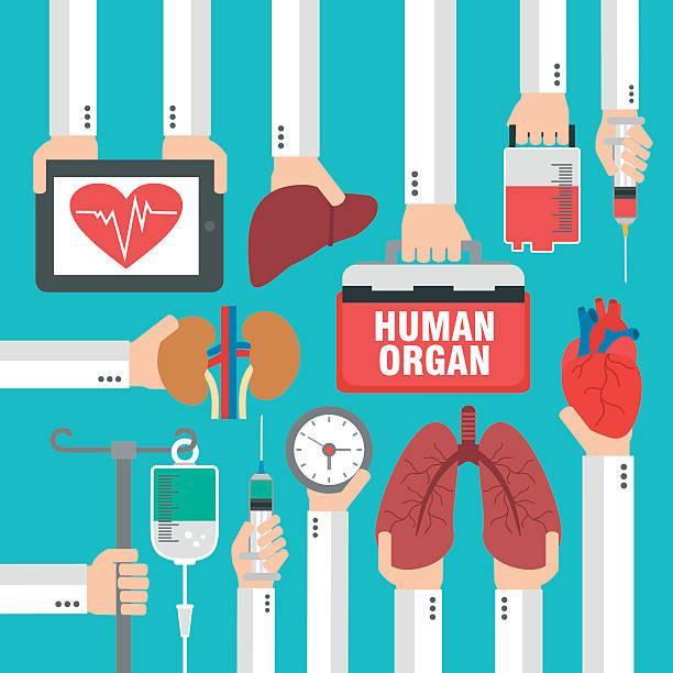 Transplanting Organs Organs such as the liver, lung, small bowel, kidney, and pancreas can come from a living donor but the donor must be a match to the recipient.
