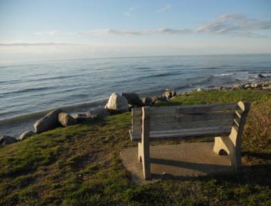 If you could sit on this bench and chat for one hour with anyone, past or present: