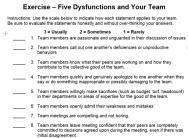 Five Dysfunctions of a Team Patrick Lencioni SWOT