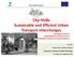 City-HUBs Sustainable and Efficient Urban Transport Interchanges
