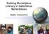 Enabling Marketplace Literacy in Subsistence Marketplaces. Madhu Viswanathan