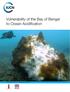 Vulnerability of the Bay of Bengal to Ocean Acidification