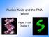 Nucleic Acids and the RNA World. Pages Chapter 4