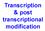 Transcription & post transcriptional modification