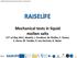 RAISELIFE Dissemination Workshop, Madrid, 17 th of May 2017