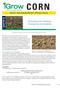 BEST MANAGEMENT PRACTICES. CHAPTER 34 Estimating Corn Seedling Emergence and Variability