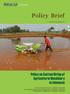 Policy Brief. Policy on Custom Hiring of Agricultural Machinery in Indonesia