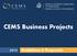 CEMS Business Projects. Guidelines & Proposals
