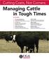 Cutting Costs, Not Corners: Managing Cattle