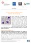 Novel tool to monitor therapeutic response. patients with viral leukemia