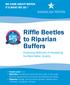 Riffle Beetles to Riparian Buffers