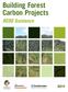 Building Forest Carbon Projects. REDD Guidance