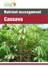 Nutrient management. Cassava