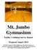 Mt. Jumbo Gymnasium. Facility Condition Survey Report. Prepared August 2014