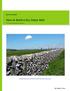 How to Build a Dry Stone Wall