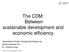 The CDM: Between sustainable development and economic efficiency