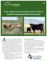 Animal response or performance is determined. Genetic-Environmental Interaction. Texas Adapted Genetic Strategies for Beef Cattle II: