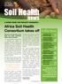 Soil Health. news. Africa Soil Health Consortium takes off In this issue. soil health consortium. August