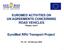 EUROMED ACTIVITIES ON UN AGREEMENTS CONCERNING ROAD VEHICLES Phases I and II. EuroMed RRU Transport Project