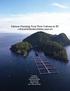 Salmon Farming Near First Nations in BC A Structured Decision Making Approach