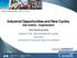 Industrial Opportunities and New Cycles Gas turbine - Cogeneration