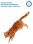 Recruitment Pack Recruitment Administrator Battersea Dogs & Cats Home