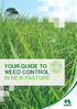 Your guide to weed control in new pasture