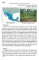 Mexico Mexico Metropolitan Area Reforestation Project