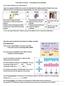 From Gene to Protein Transcription and Translation i