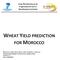 WHEAT YIELD PREDICTION FOR MOROCCO