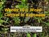 Weeds 101: Weed Control in Avocados. Sonia Rios UCCE Area Subtropical Horticulture Advisor Riverside/San Diego Counties