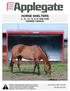 HORSE SHELTERS 6, 12, 15, 18, & 24 SHELTERS ASSEMBLY MANUAL