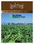 Success starts from the ground up COVER CROP PRODUCT GUIDE 2013
